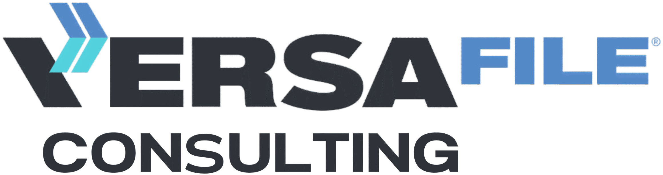 VersaFile Consulting Logo - Color